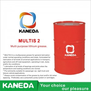 KANEDA MULTIS 2 Multi purpose lithium grease.